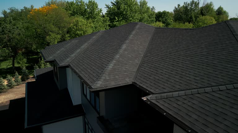 Best Solar Panel Roofing Installation  in Wilton, IA